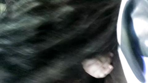 49272