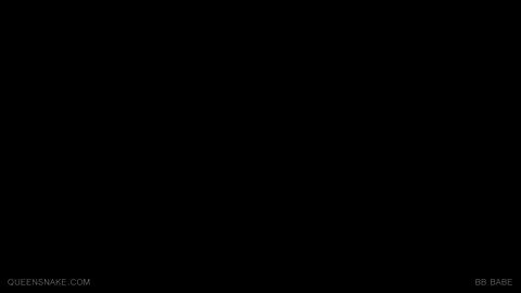 23748